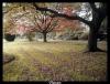 <img100*0:stuff/.Autumn1.jpg>