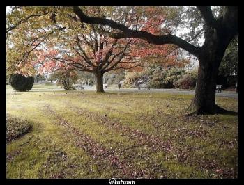 <img350*0:stuff/.Autumn1.jpg>
