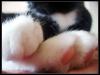 <img100*0:stuff/.catref11.jpg>
