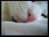 <img100*0:stuff/.catref8.jpg>