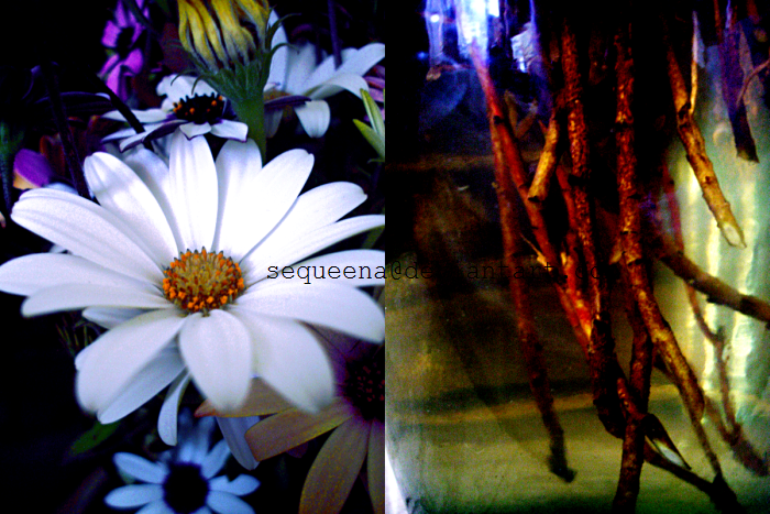 <img:stuff/.fake.jpg>