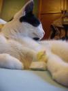<img100*0:stuff/.landm.jpg>