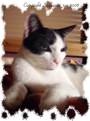 <img300*0:stuff/.lbed5l.jpg>