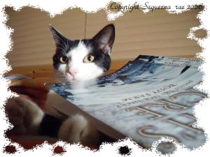 <img300*0:stuff/.lbookl.jpg>