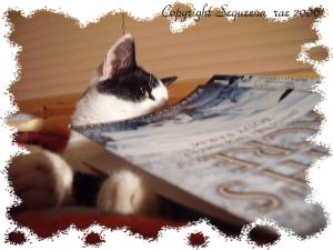 <img300*0:stuff/.lsuspiciousl.jpg>