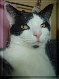 <img200*0:stuff/.luciuswoop.jpg>