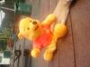 <img100*0:stuff/.psplits.jpg>