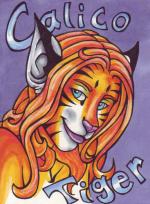 <img150*0:stuff/08-calico-thriv.jpg>