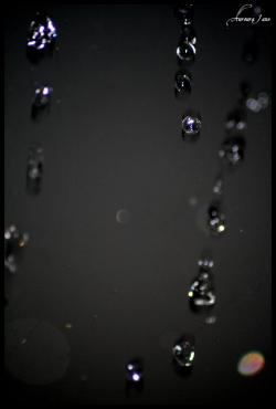 <img250*0:stuff/1%20033.jpg>