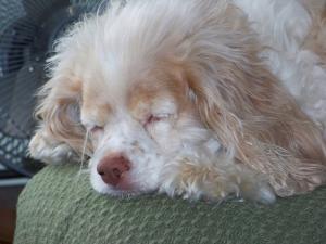 <img300*0:stuff/100_0079.jpg>