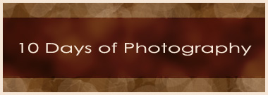 10 days of photography