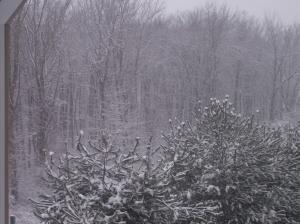 <img300*0:stuff/11046SnowMarchTwelfth2005ElevenAM.jpg>