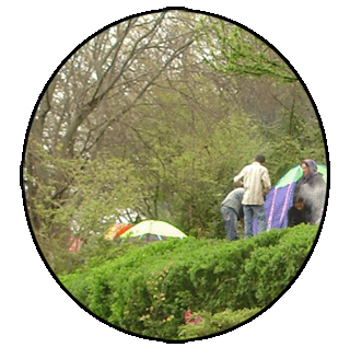 <img:stuff/13%20bedar.gif>
