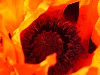 <img200*0:stuff/13_06_06%20007.jpg>