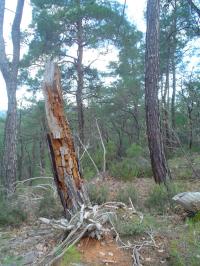 <img200*0:stuff/16_by_Jitter_Stock.jpg>