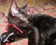 <img0*150:stuff/18a.jpg>