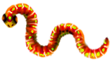 <img:stuff/1AppleWorm.png>
