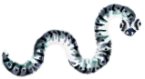 <img:stuff/1AppleWorm_12Rev.png>