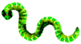 <img:stuff/1AppleWorm_4.png>