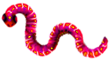 <img:stuff/1AppleWorm_8.png>
