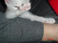 <img200*0:stuff/1_3619.2.jpg>