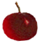 <img:stuff/1_Cherry.png>
