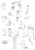 <img0*200:stuff/2006123105_R_käsiä%20ja%20jalkoja.gif>