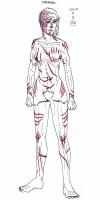 <img0*200:stuff/2007111602_TFK_Tarkavinel.jpg>