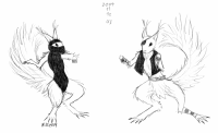 <img200*0:stuff/2009111203_R_orava.png>