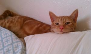 <img300*0:stuff/2012-06-06%2016.36.39.jpg>