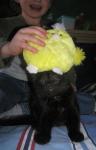 <img0*150:stuff/28a.jpg>