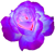 <img:stuff/2RoseBullet.png>