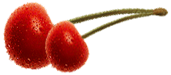 <img:stuff/2_Cherries!.png>