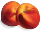 <img:stuff/2_peaches.png>