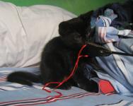 <img0*150:stuff/34a.jpg>