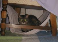 <img0*150:stuff/39a.jpg>
