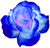 <img:stuff/3RoseBullet.png>