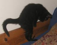 <img0*150:stuff/3a.jpg>
