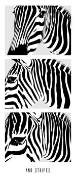 <img150*0:stuff/3ofzebralla_small%20copy.png>