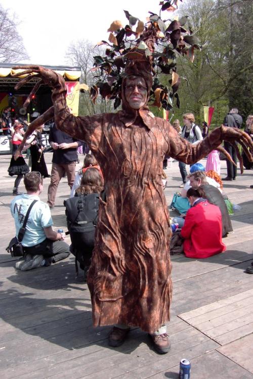 <img500*0:stuff/4-eyes-tree.jpg>