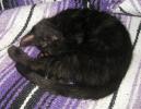 <img0*100:stuff/45a.jpg>