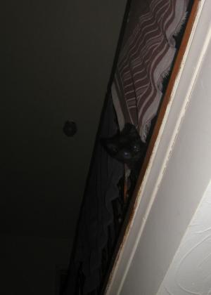 <img300*0:stuff/48a.jpg>