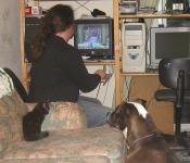 <img0*150:stuff/52a.JPG>