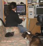 <img0*150:stuff/53a.JPG>