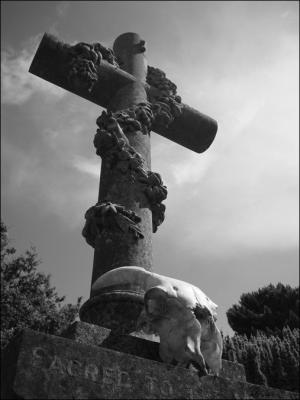<img300*0:stuff/5555thepast.jpg>