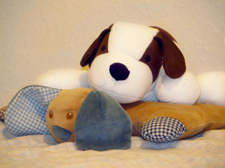 <img450*0:stuff/558Buddies.jpg>