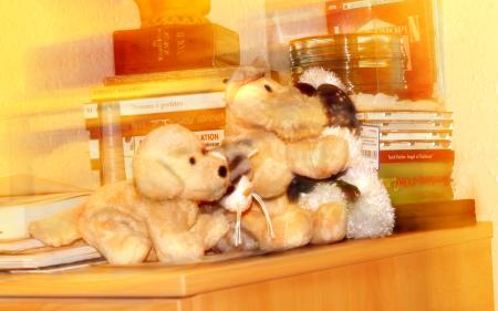 <img450*0:stuff/558Vimmy.jpg>