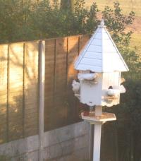 <img200*0:stuff/558_MorningDoves.jpg>