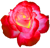 <img:stuff/5RoseBullet.png>