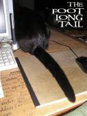 <img0*170:stuff/6%20the%20foot%20long%20tail.jpg>
